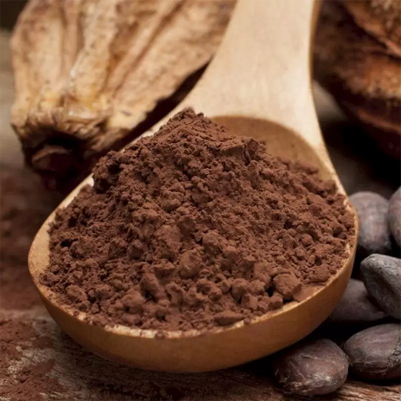 CACAU EM PÓ ALCALINO 100g 